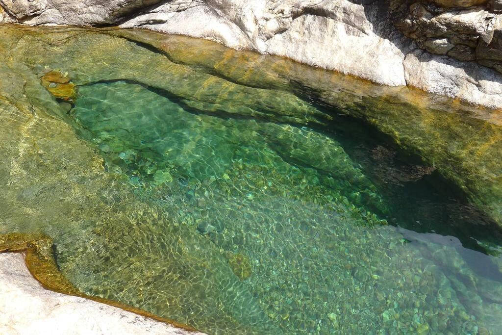 Le Capu Biancu-Location Avec Vue Proche Des Gorges De L Asco Entre Mer Et Montagne Moltifao Exteriér fotografie
