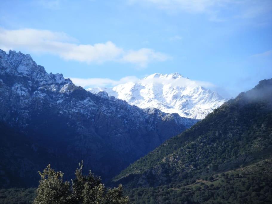 Le Capu Biancu-Location Avec Vue Proche Des Gorges De L Asco Entre Mer Et Montagne Moltifao Exteriér fotografie